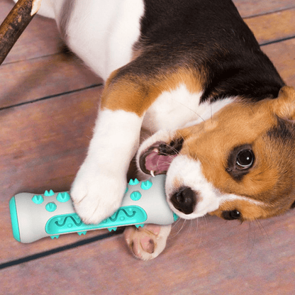 Durable Toothbrush Stick Chew Toy for Dogs