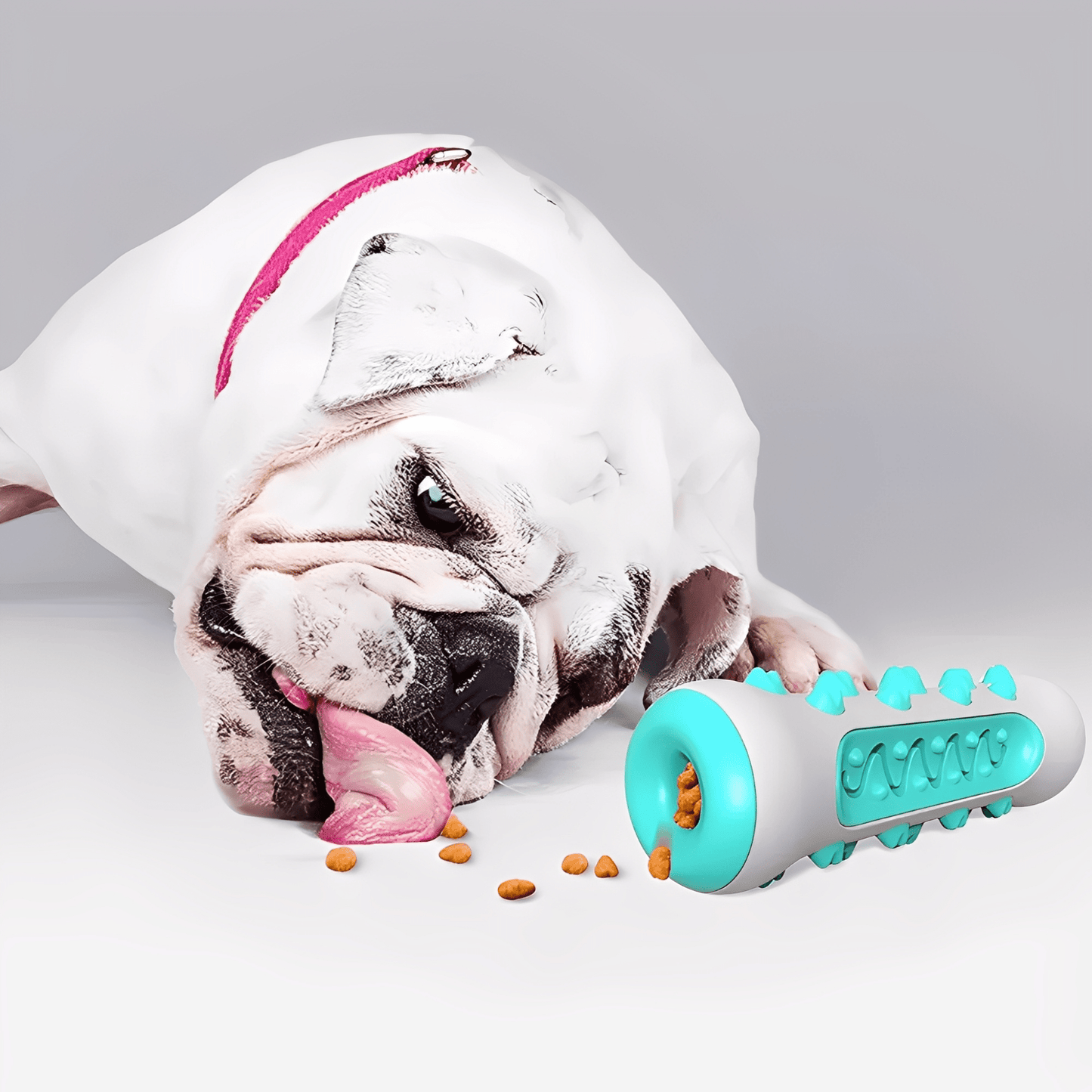 Durable Toothbrush Stick Chew Toy for Dogs