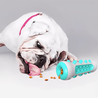 Durable Toothbrush Stick Chew Toy for Dogs