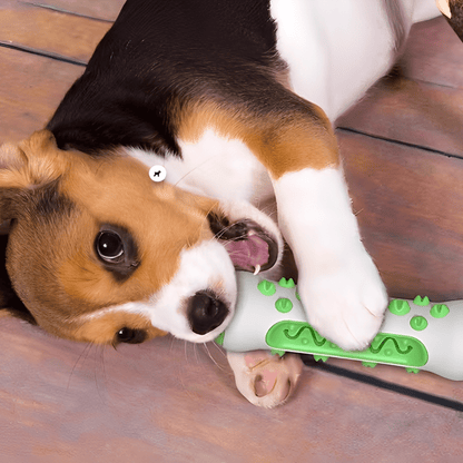 Durable Toothbrush Stick Chew Toy for Dogs