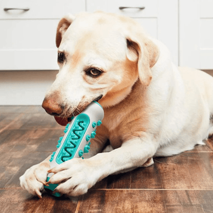 Durable Toothbrush Stick Chew Toy for Dogs