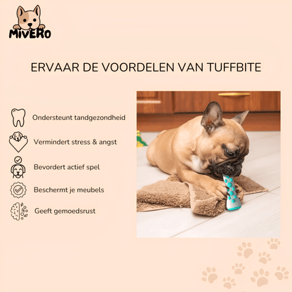 Durable Toothbrush Stick Chew Toy for Dogs